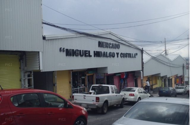 Trabajo en campo