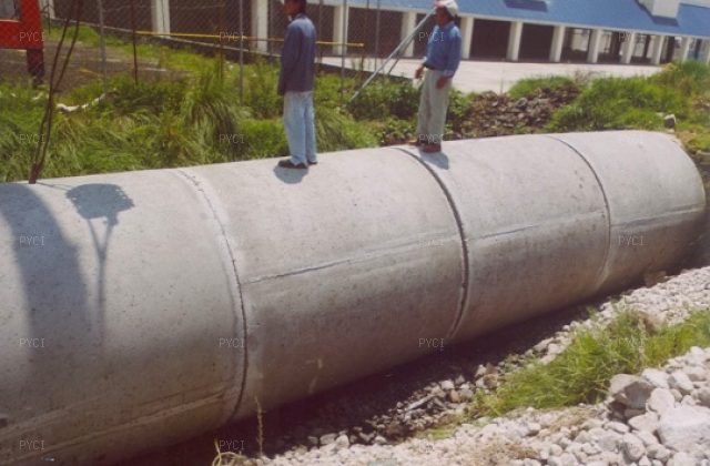 Proyecto estructural